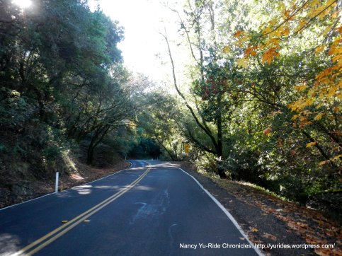 Wildcat Canyon Rd