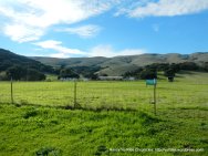 farm & ranch-pasturelands