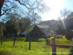 old barn & ranch-Willow Creek