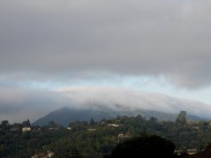 view of Mt Tam