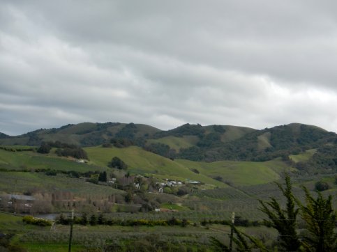 View of Petaluma valley