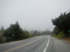fog in Castro Valley
