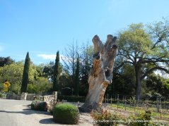 outdoor art-tree stump