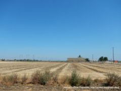 hay fields
