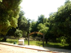 Historic Laguna Cemetery