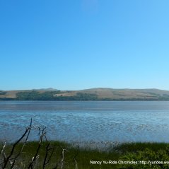 view of Tomales Bay