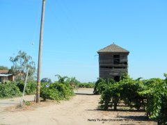 old vineyard tower