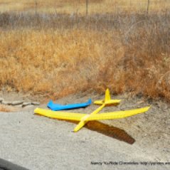 RC gliders