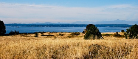 view from Discovery Park