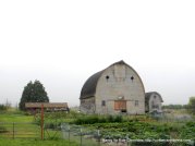 beautiful shaped barn