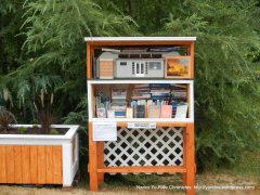 Little free library-Lake Stevens