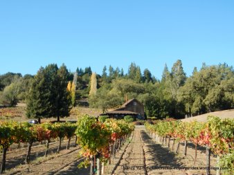 valley vineyards