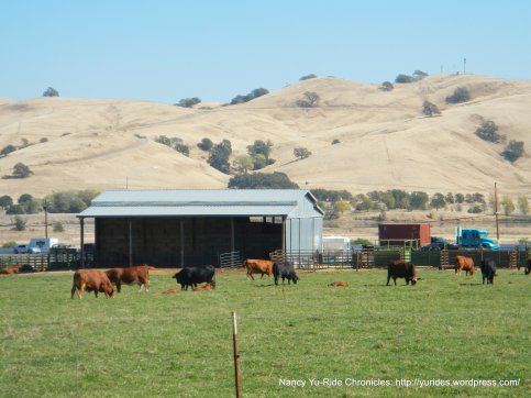 cattle ranch off Cherry Glen Rd