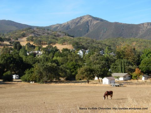 horse ranches at the foothills of Diablo