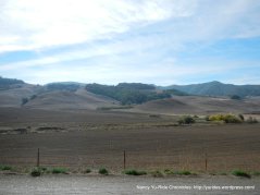 open fields-Chileno Valley