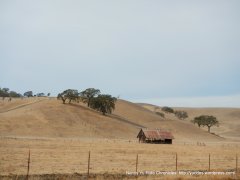 cattle barn