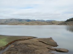 Nicasio Reservoir