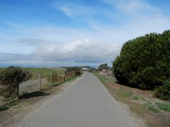 SF Bay Trail-Pt Isabel Dog Park