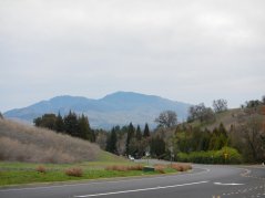 view of Mt Diablo from Morello Ave
