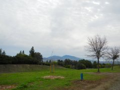 view of Mt Diablo from Canal Trail