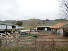 Highland Rd-horse ranch