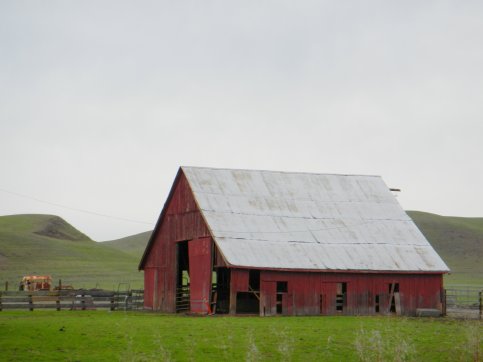 Manning Rd-red barn