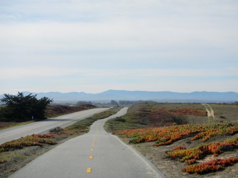 Monterey Peninsula Coastal Rec Trail