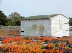 old structure-Fort Ord
