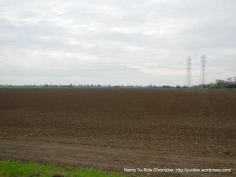 agricultural fields