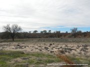 dry riparian landscape