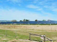 solar farm & vineyard