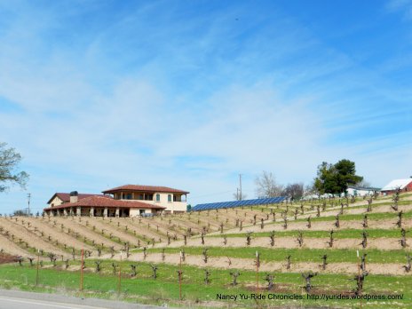 rolling vineyards