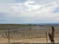 acreage vineyards