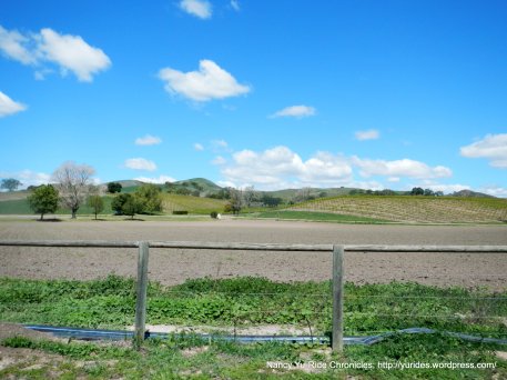 agricultural fields