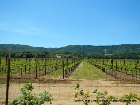 valley vineyards