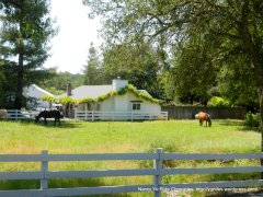 Alexander Valley ranch home