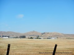Livermore Valley ranches