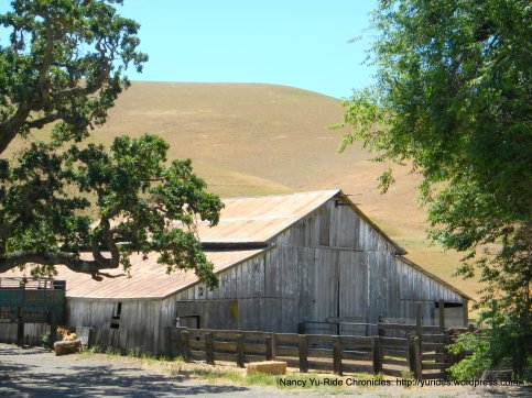 wooden barn
