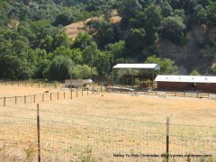 valley ranch