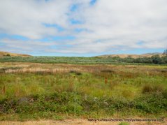 olema marshes