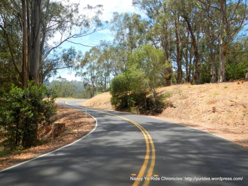 Wildcat Canyon Rd