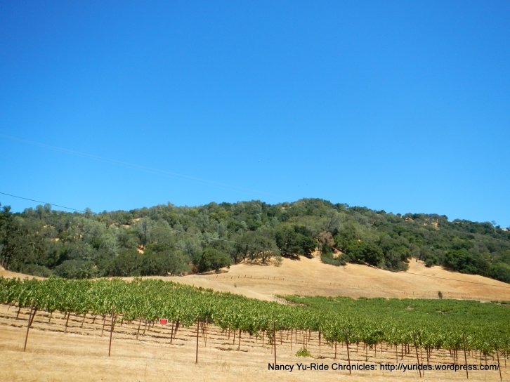 chiles valley vineyard