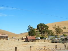 altamont pass rd ranch