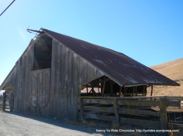 manning rd-open cattle barn