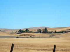 livermore valley ranch