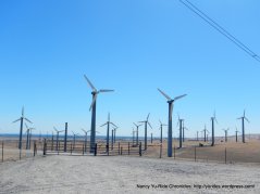 altamont pass windfarm