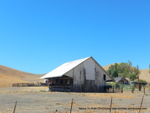 open cattle barn