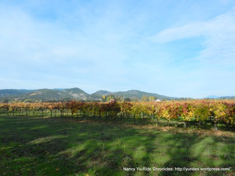 napa valley vineyards