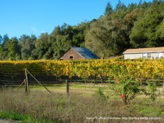 westside rd-russian river valley