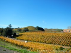 westside rd-russian river valley